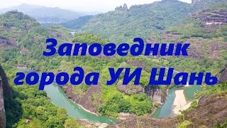 Чайная экспедиция в заповедник УИ Шань