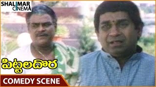 Pittala Dora Movie || Kota Srinivasa Rao \u0026 Brahmanandam Superb Comedy Scene || Ali || Shalimarcinema