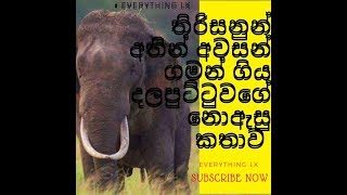 රටක් හැඩවු ගල්ගමුව හස්ති රාජයා#DALA#PUTTUWA#