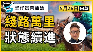 【堅仔試閘靚馬】(5月26日 田草賽事) 綫路萬里 狀態續進｜賽馬貼士​​​​​​​｜賽馬賠率​​​​​​​​​​​​​​​​​​​｜田草