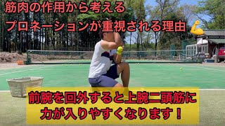 プロネーションをする理由　#テニス