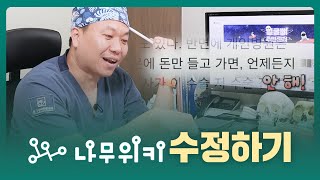 양악수술 전문의가 수정하는 양악수술 나무위키