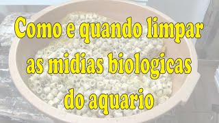 Como e quando limpar as mídias Biológicas do aquário