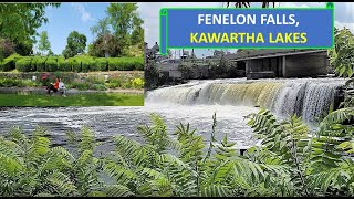 FENELON FALLS