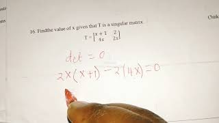 SINGULAR MATRICES. A MATRIX WITH NO INVERSE