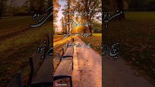 #mikebaneshi قتل این خسته به شمشیر تو تقدیر نبود #شعرعاشقانه #حافظ #shorts