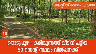 50 CENT HOUSE PLOT FOR SALE| KARIMKUNNAM|THODUPUZHA | കരിങ്കുന്നത്ത് വീടിനു പറ്റിയ സ്ഥലം വിൽപ്പനക്ക്