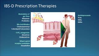 Pharmacologic Approach to IBS: Beyond Diet and Fiber