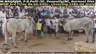 2018 UPPARAPALLI \