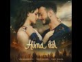 homa dol full audio song lyrics 2024