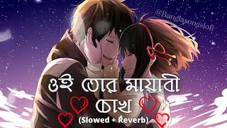 øíí Tor Mayabi chokh (ওই তোর মায়াবী চোখ) Lofi Remix song (Slowed+reverb)#bengalisonglofi #musiclofi