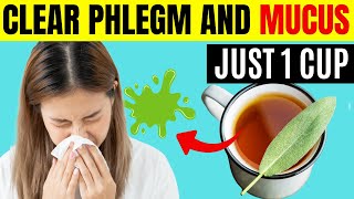 GET RID of Mucus \u0026 Phlegm in MINUTES with These 9 Proven Methods!