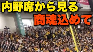 【阪神ファン大合唱】商魂込めて、内野席から見ても迫力がすごかった... in東京ドーム【※視聴者提供】2023年7月1日阪神対巨人