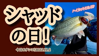 【今日のナンコ！2022.11.2】シャッドの日！【琵琶湖バスガイド】