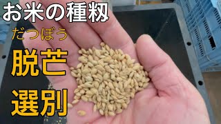 【お米の自家採種】種籾、「脱芒」と「種子選別」 脱芒機 だつぼー君 お米 種