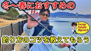 あの加藤さんにスタストとTN70デッドスローの使い方を教えてもらう！意外と簡単！？【琵琶湖バス釣り】