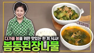 EP236-봄동된장나물)봄동으로 맛있는 2가지 요리를!