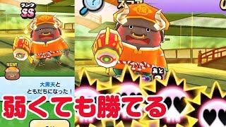 【ぷにぷに攻略】大黒天の倒し方 仲間になる確率は？ 恵比寿なし 七福神イベ