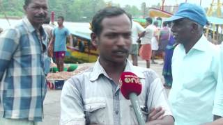 Fish harvest in Kollam