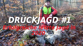 DRÜCKJAGD #1 Erfolgreiche letzte Drückjagd in 2020