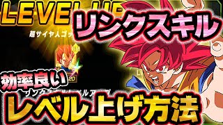 【ドッカンバトル975】必見！リンクスキルレベルの仕様と効率の良い上げ方を徹底解説！！【DRAGONBALL Z Dokkan Battle】