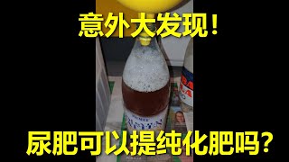 171 尿肥可以自制土化肥吗？催化制作氨水提纯氮肥可以不？我好像又发现了啥不得了的事情 --- 投笔从农朱叫兽 365挑战之171