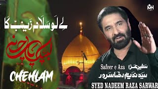 Nadeem Sarwar Noha le lo salam zanib sa ka - Shah e shaheed Karbala (chehlum) - (2023)
