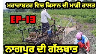 ਮਹਾਰਾਸ਼ਟਰ ਵਿਚ ਕਿਸਾਨੀ ਪੁਰਾਣੇ ਤਰੀਕੇ ਨਾਲ MAHARASHTRA FARMER OLD TECHNIQUE USE