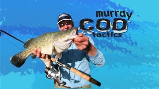 Murray Cod TACTICS - Spinnerbaits