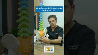 Why Does my Tailbone/Coccyx Hurts when I Sit ? बैठने पर मेरी टेलबोन मे दर्द क्यों होता है?  Dr Amod