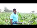 unseasonal rains damage corn crop in veenavanka karimnagar v6 news