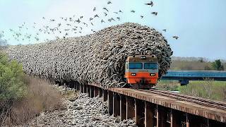 200 Strange Things Happening Right Now Around the World Caught on Camera #7