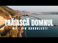 @MILIDINBARBULESTI  - TRĂIASCĂ DOMNUL - ( Video Official )