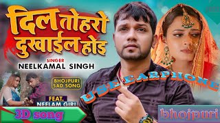 3d bhojpuri song||💔Dil Toharo Dukhail Hoi 💔||Neelkamal Singh||Neelam Giri||New Sad Song 2022