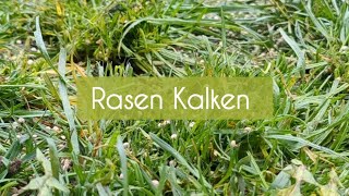 #Rasenpflege - Teil 1 - wir Kalken den Rasen #frühling #todo #rasen #gartentipps