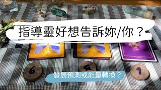 🌿塔羅占卜🔮指導靈好想告訴妳/你的訊息？能量轉換及預測發展？ | 艸艸Tarot ｜ Pick a card.