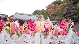 [4K]岡山うらじゃ連 四季　龍馬よさこい2017 2日目 龍馬演舞場