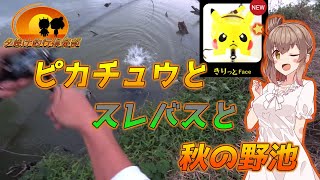 【また新シリーズ】短時間釣行こそピカチュウの出番よ【夕焼け釣行倶楽部】1　#fishing #voiceroidフィッシング #ポケモンフィッシング