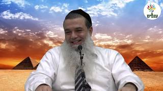 פרשת ויחי - הרב יגאל כהן HD - סדרה חדשה!