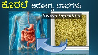 ಕೊರಲೆ ಅರೋಗ್ಯ ಲಾಭಗಳು korale Brown top millet|Kannada health tips|Holistic health|siridhanyagalu