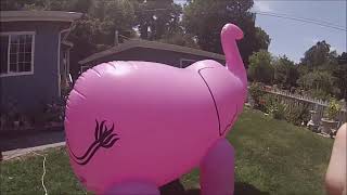 Blowing up and trying out my BigMouth inflatable Elephant Sprinkler (Pink)