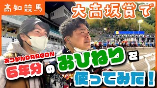 高知けいばの奇跡！４万円が〇〇円に！【黒船賞選考競争大高坂賞】