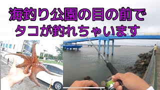 海釣り公園の目の前でタコ連発！！