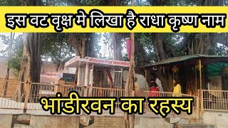 भांडीरवन के इस वट वृक्ष मे लिख राधा कृष्ण नाम || भांडीरवन का रहस्य || Fact India