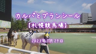 2023年7月29日 カルパとブランシール【札幌競馬場】