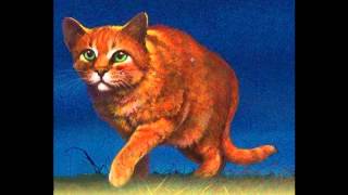 WHY FIRESTAR, WHY!!!!! ~ Warrior Cat Rant~
