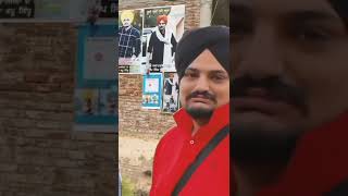 sidhu moosewala jatt 5911 wala #shorts #shortvideo #viral #trending #youtubeshorts #