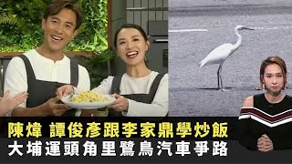 陳煒、譚俊彥跟李家鼎學炒飯 大埔運頭角里鷺鳥汽車爭路 冬天打邊爐、雞煲致肥元兇 TVB東張西望 吳幸美 李旻芳