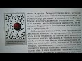 Строение вещества диффузия броуновское движение. Физика 7 класс.