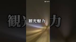 準決勝part1！東京都VS兵庫県×2！決勝戦進出おめでとう🎊